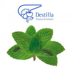 Ароматизатор Destilla Мята<b>Notice</b>: Undefined index: model in <b>/home/vapemast/vapemaster.com.ua/www/catalog/view/theme/materialize/template/product/category.tpl</b> on line <b>147</b>