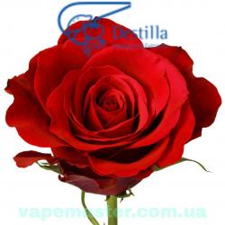 АРОМАТИЗАТОР DESTILLA РОЗА
